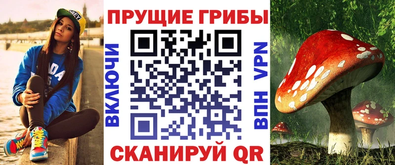 Купить где  Москва  Псилоцибиновые грибы GOLDEN TEACHER 